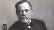 Louis Pasteur's Quote on Inspiration and the Source of Human Actions