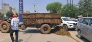 Ludhiana Dairy Farmers Block Road with Cow Dung Over Sewage Crisis
