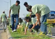 Ludhiana Experts: Gardening, Farm Visits Cut Kids' Screen Time