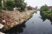 Ludhiana Police Register FIR Against Two Dairy Operators for Polluting Buddha Nullah