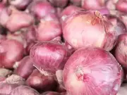 Maharashtra farmers welcome onion rule relaxation, demand higher MSP