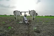 Maharashtra Forms 3 Panels for Swift Loan Waiver Implementation Ahead of Monsoon Session