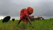 Maharashtra to Table Women Farmers Empowerment Bill in Monsoon Session