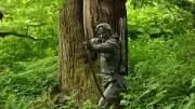 Major Oak in Sherwood Forest Dies at Estimated 1,000 Years Old