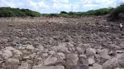 Malaprabha River Dries Up, Farmers in Karnataka Face Crisis