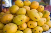 Mangomania Festival in Delhi Blends Mango with Global Culinary Creativity