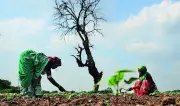 Marathwada Weather Swings From Floods to Severe Heat in One Year