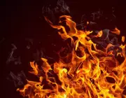 Massive Fire Destroys 30 Shops in Scrap Market Near New Chandigarh
