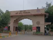 MDU Professor's Rs 25 Lakh Project Approved for Sustainable Wheat Farming