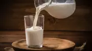 Milk Prices May Rise Again in July-August on El Niño, Fodder Shortage Fears