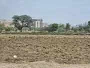 Monsoon Advances in Maharashtra, Pune Onset Still Uncertain