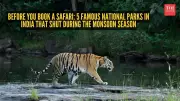 Monsoon Closures in Indian National Parks: What Travelers Must Know