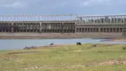 Monsoon Slowdown Depletes Water Storage in Cauvery Basin Dams
