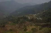 Morni Land Settlement: Joint Team to Survey 6,000 Acres, End Disputes