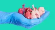 Mother's Liver Donation Blocked by State Order, Child Dies