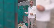 Muddebihal Mango Shops Raided Over Chemical Ripening Concerns