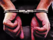 Mumbai Accountant Arrested for Rs 6.49 Crore Fraud After SC Denies Relief