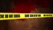 Mumbai Man Dies During Music Concert at NSCI Dome, Probe Ordered
