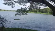 Mysuru Experts Urge Conservation of Historic Purnaiah Canal Amid Pollution