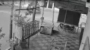 Nagpur Hit-and-Run: 72-Year-Old Dies After 5-Day Battle, Accused Untraced