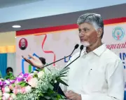 Naidu backs Pawan Kalyan, slams Telangana leaders' remarks as inappropriate