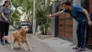 Neighbour Harasses Dog, Wife Is Friend: 5 Women Share How They Handled It
