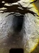 New Cricket Species Named After Tolkien's Balrog Found in Greek Military Tunnel