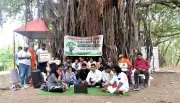 NGT Extends Stay on Tree Felling in Nashik Till August 14