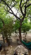 Noida Police Adopts Park in Sector 19 to Curb Illegal Activities