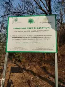 Only 50% of 28,000 saplings survive on Parsik Hill in Navi Mumbai