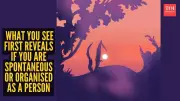 Optical Illusion Reveals If You Are Spontaneous or Structured