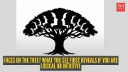 Optical Illusion Test Reveals Your Cognitive Style: Tree or Faces?