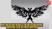 Optical Illusion Test Reveals Your Nervous System's Current State
