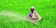 Over 1,800 Fertiliser Shops in Kolhapur Shut as Dealers Protest Centre's App