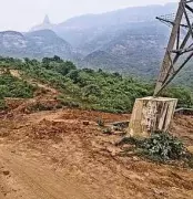 Over 60 Hectares Deforested Near Karnala Fort Without Union Approval