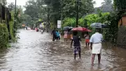 Overnight Heavy Rains Cause Waterlogging, Tree Uprooting in Kerala