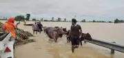 Patiala Residents Fear Repeat of 2023 Floods as Drains Remain Choked