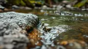 Persistence Over Power: Why Rivers Cut Through Rock