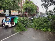 Power Outages Hit Ranchi After Wires Snapped and Storm