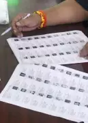 Punjab Crosses 85% Voter Mapping Mark in Electoral Rolls Revision