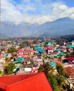 Race for Palampur Mayor Post Heats Up After Congress Sweep in Civic Polls