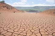 Rainfall Deficit in Kolhapur, Sangli, Satara Hits Agriculture, Water Restrictions Imposed