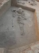 Rakhigarhi Excavation Unearths 8 Skeletons, Reveals Harappan Trade Links