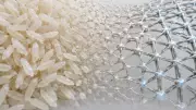 Rice Grains Weaken Under Rapid Compression, Inspiring Smart Materials