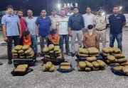 RPF Seizes 61kg Marijuana Worth Rs 30.5 Lakh at Ranchi Station