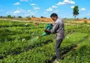 Sadhguru's Cauvery Calling to Host Food Forest Seminar and Fruit Festival in Trichy