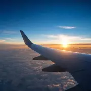 SAS Inaugural Mumbai Flight Turns Back Mid-Air Over Regulatory Hurdles