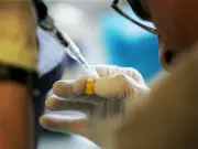 SBI Report Highlights Health Gains in NFHS-6, Calls for More Spending on Mothers and Children