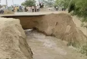 Second breach in Bhikhi distributary in 5 days, over 100 acres submerged