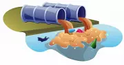 Sewage Mixes with Irrigating Water in Madurai Channel, Residents Allege